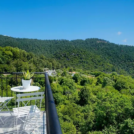Avli 1976 Apartamento Panagia (Thasos)
