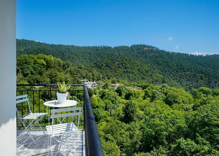 Avli 1976 Apartment Panagia (Thasos)